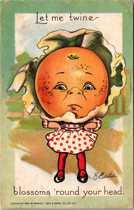 1907 E. Curtis Artwork Postcard Child with Fruit Vegetable Food Head