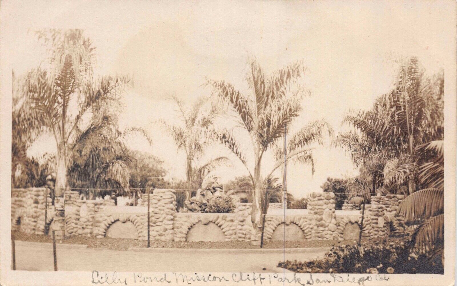 RP Postcard Lilly Pond at Mission Cliff Gardens in San Diego, California~128732