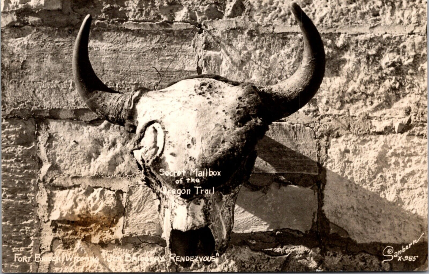 RPPC Secret Mailbox of the Oregon Trail Fort Bridger, Wyoming Animal Scull