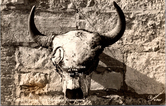 RPPC Secret Mailbox of the Oregon Trail Fort Bridger, Wyoming Animal Scull