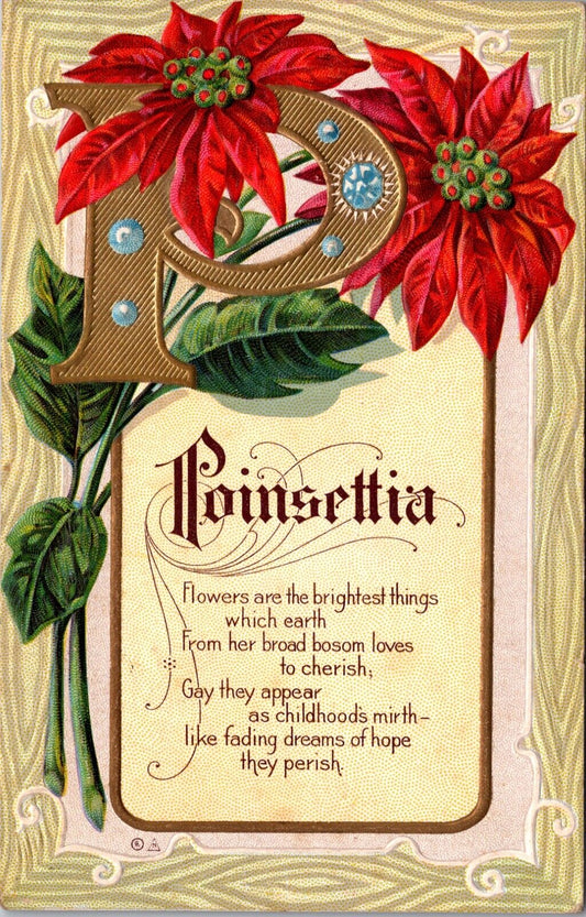 Christmas Postcard Large Letter P Poinsettia