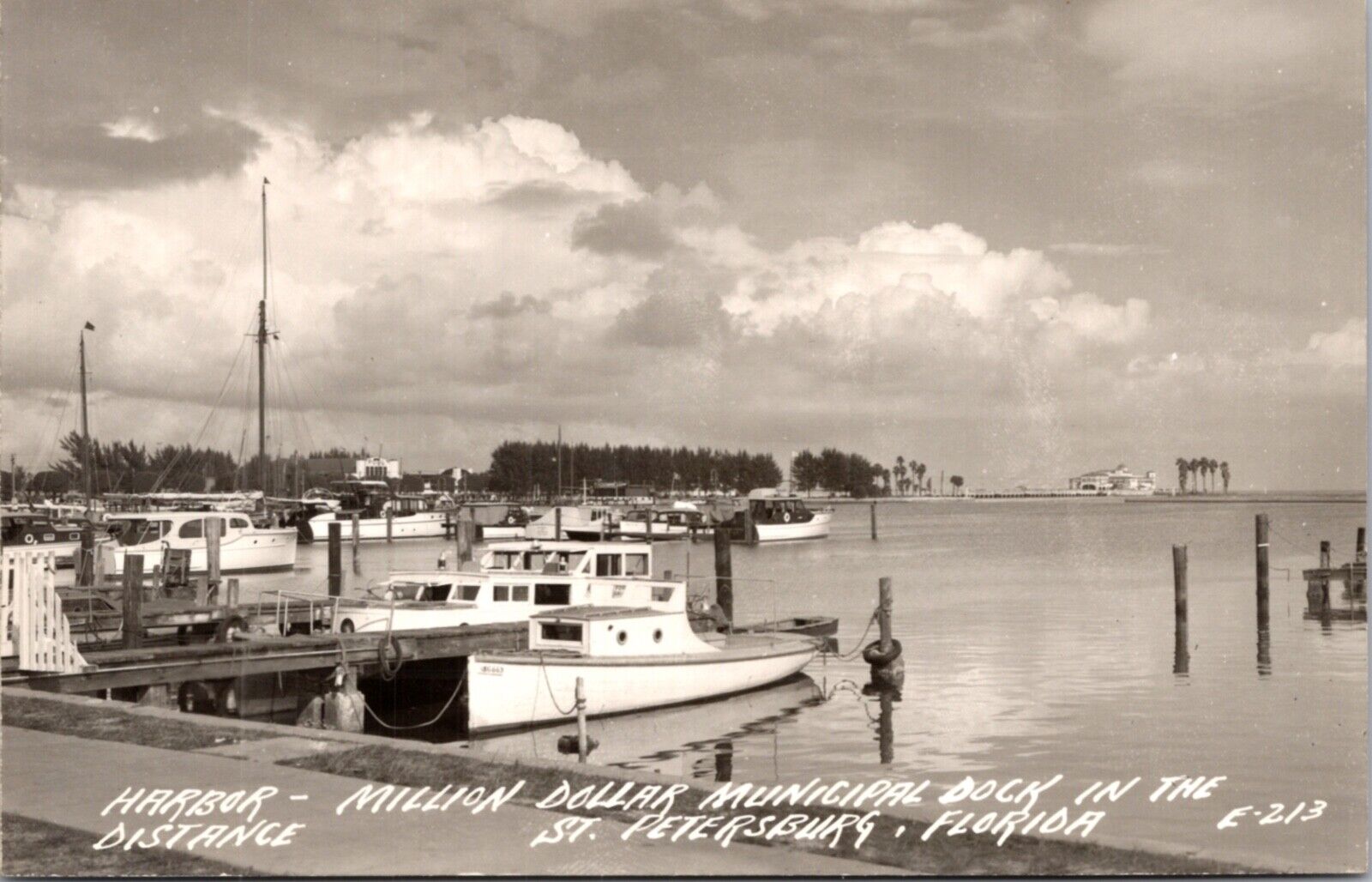 RPPC Harbor Million Dollar Municipal Dock in The Distance St. Petersburg Florida