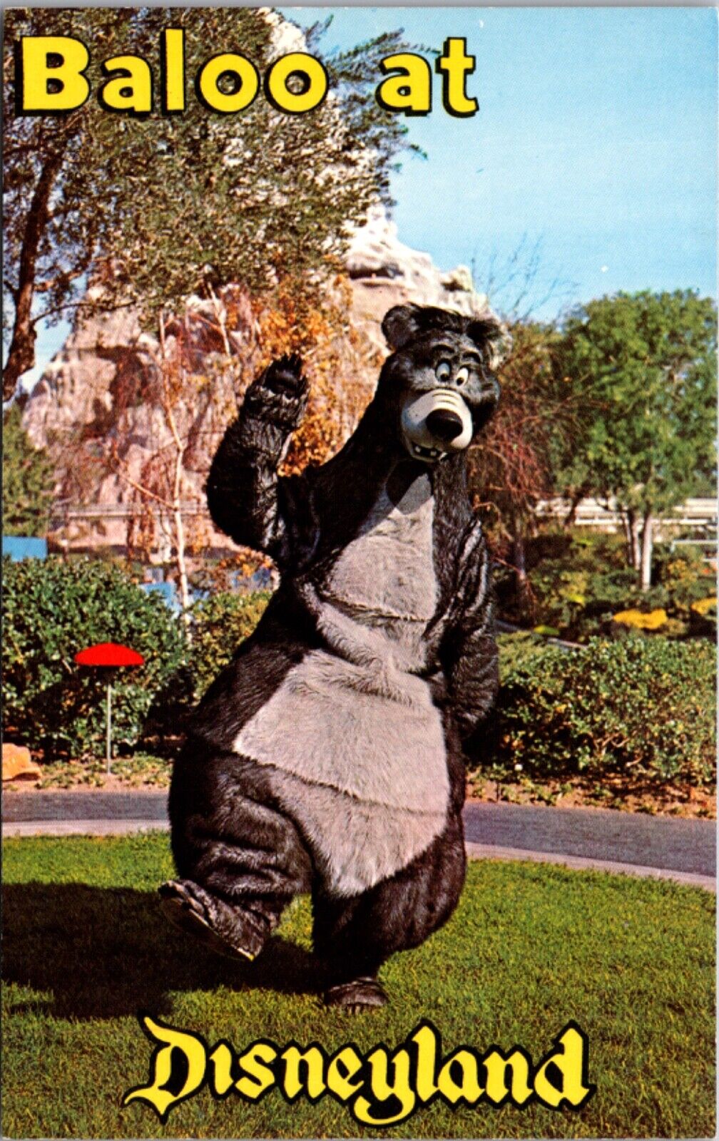 Disneyland Postcard Baloo The Bear Fantasyland