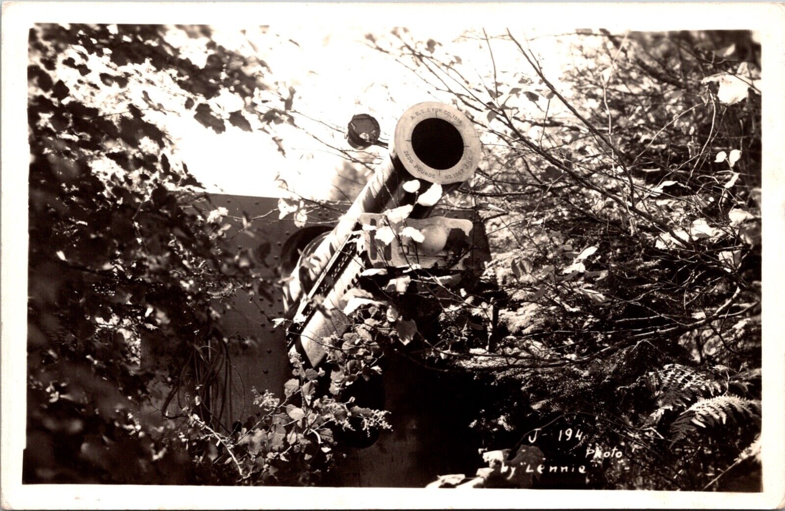 Real Photo Postcard WWII Military Gun In The Bushes