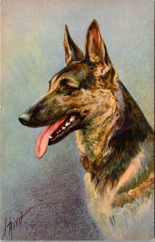 Artwork Postcard Alsatian Wolfhound Dog Berger Alsatien