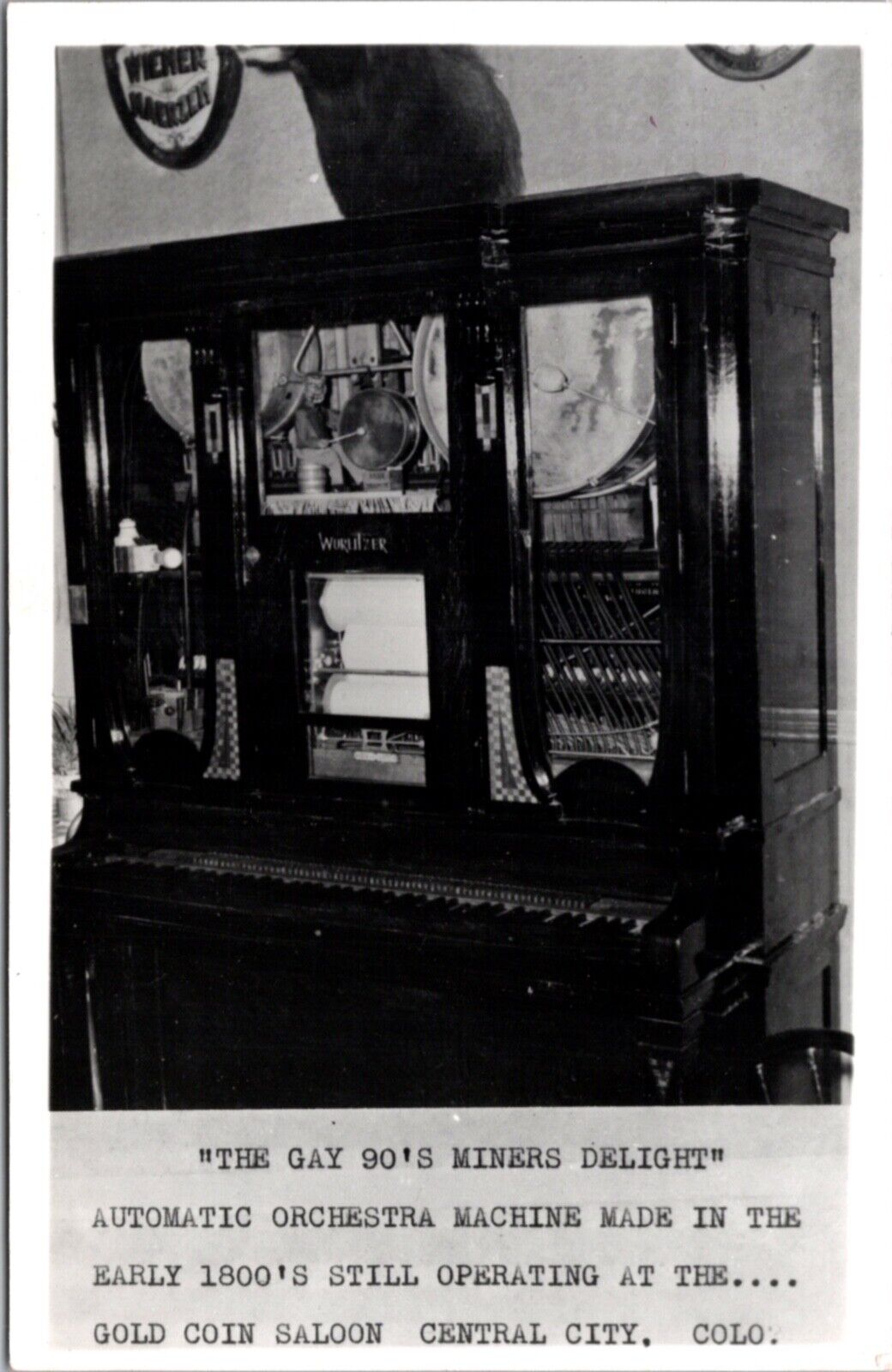 RPPC Miners Delight Automatic Orchestra Machine Gold Coin Saloon Colorado