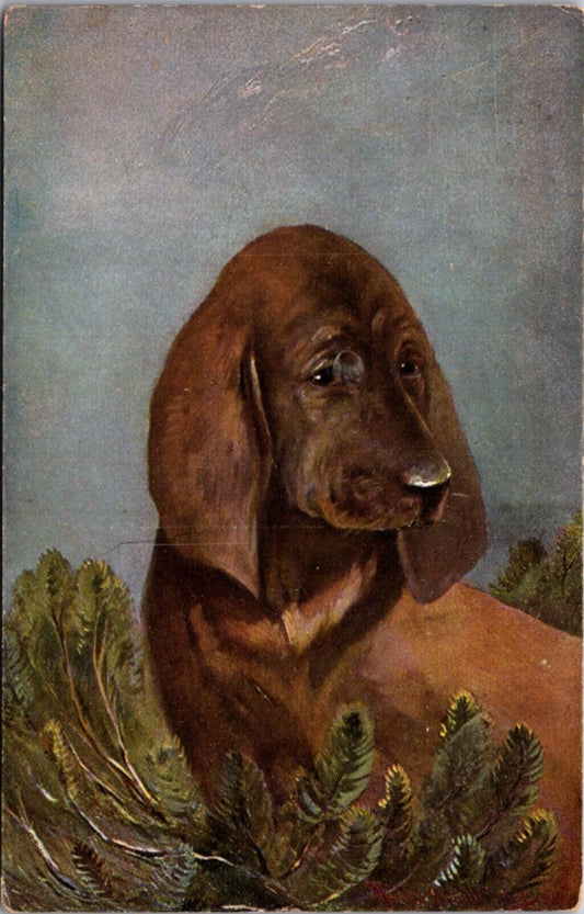 Artist Artwork Postcard Portrait of a Dog in Pine Tree Branches