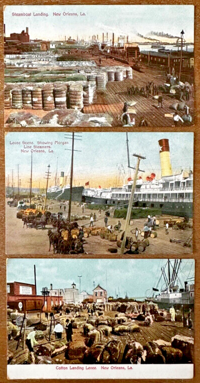 3 PCs Levee Scene Cotton Morgan Line Steamer Ships Boat New Orleans Louisiana