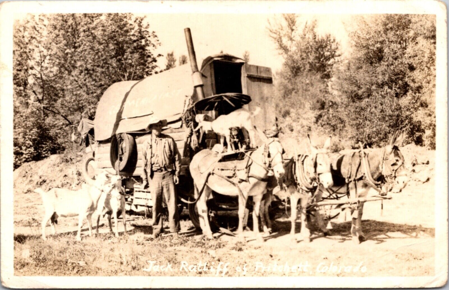 RPPC Jack Ratliff of Pritchett, Colorado Donkey Pulled Covered Wagon Traveler