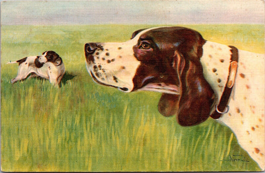 Artist Signed Postcard Hunting Dogs Cani da Caccia Pointer Francese e italiano