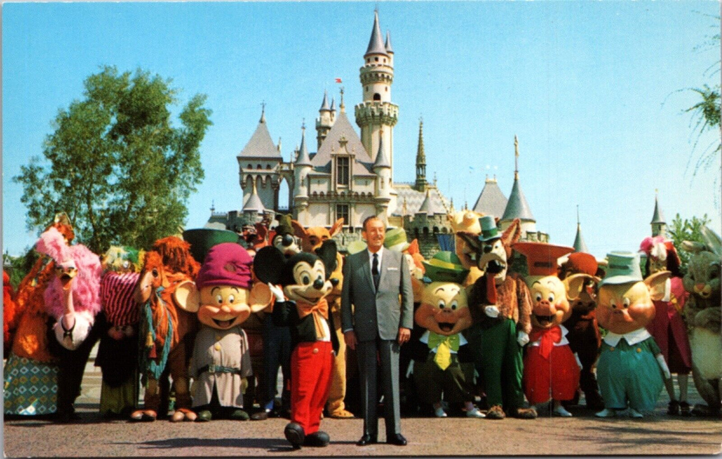 Disneyland Postcard Walt Disney Mickey Mouse Characters Sleeping Beauty Castle