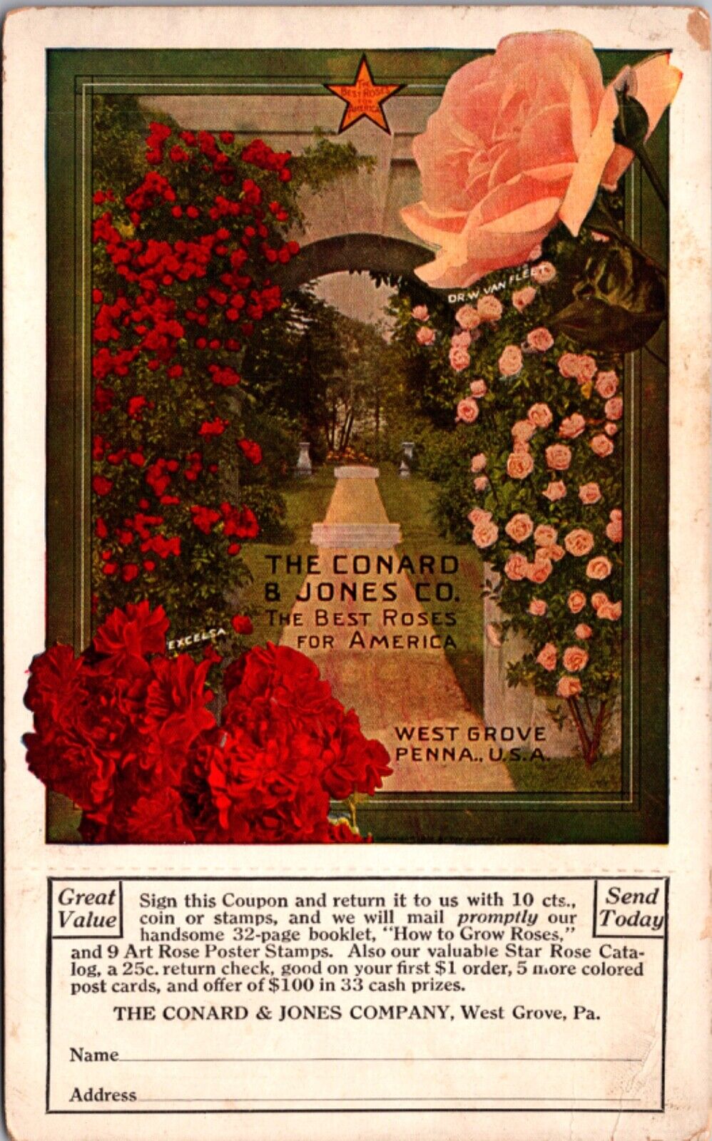 Advertising Postcard The Conrad & Jones Company Roses in West Grove Pennsylvania