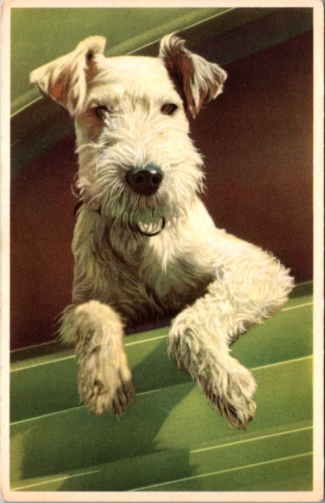 Artist Postcard Portrait of a White Terrier Dog