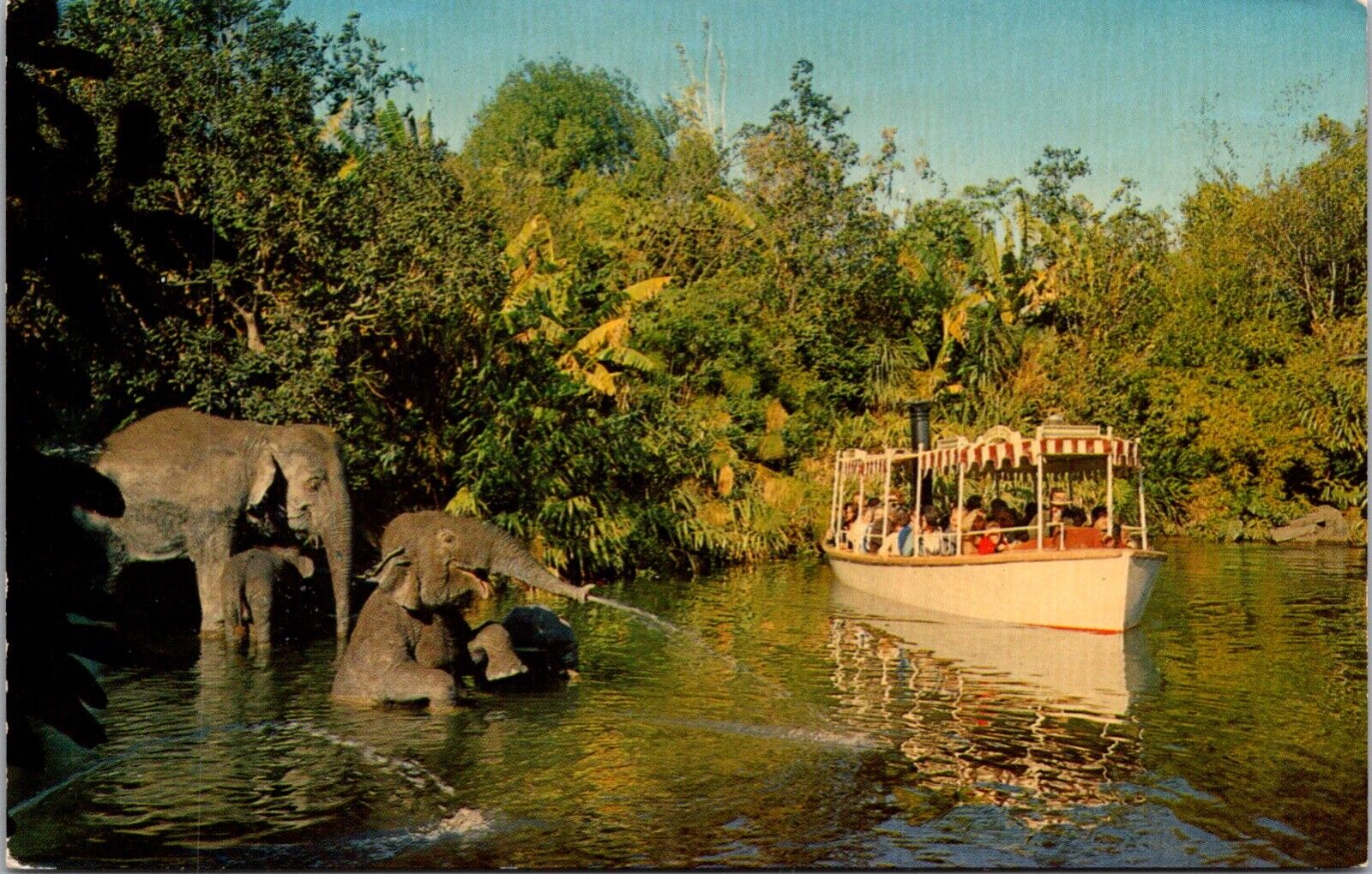 Disneyland Postcard Elephant Bathing Pool Adventureland Jungle Cruise