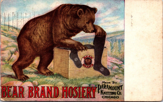 Advertising Postcard Bear Brand Hosiery Paramount Knitting Co Chicago, Illinois