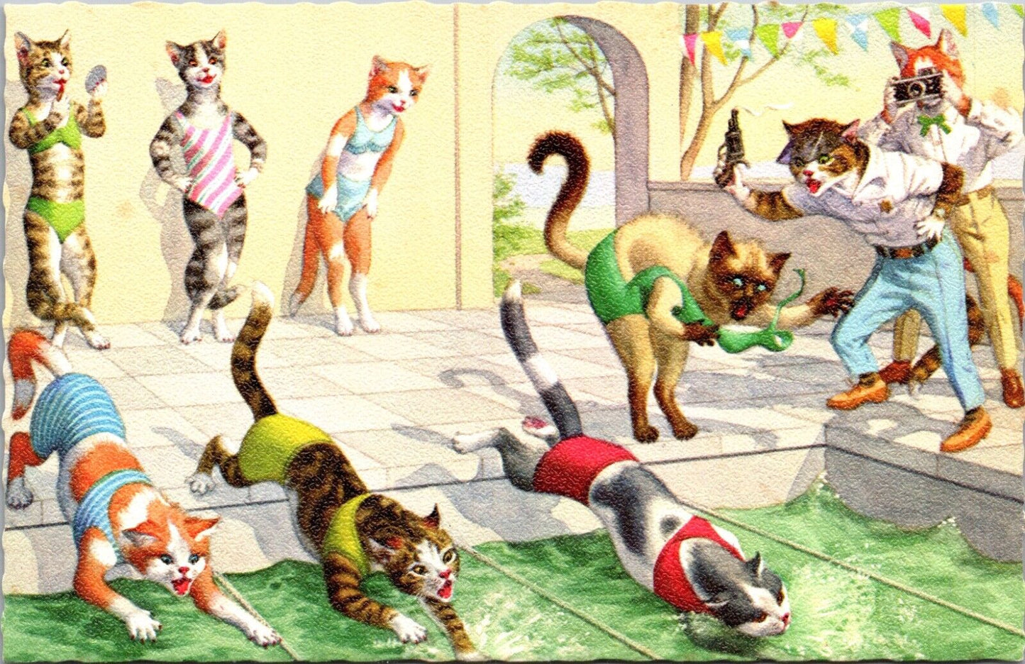 Alfred Mainzer Postcard Dressed Cats Swim Meet Bathing Suit Breaks Swimming Race