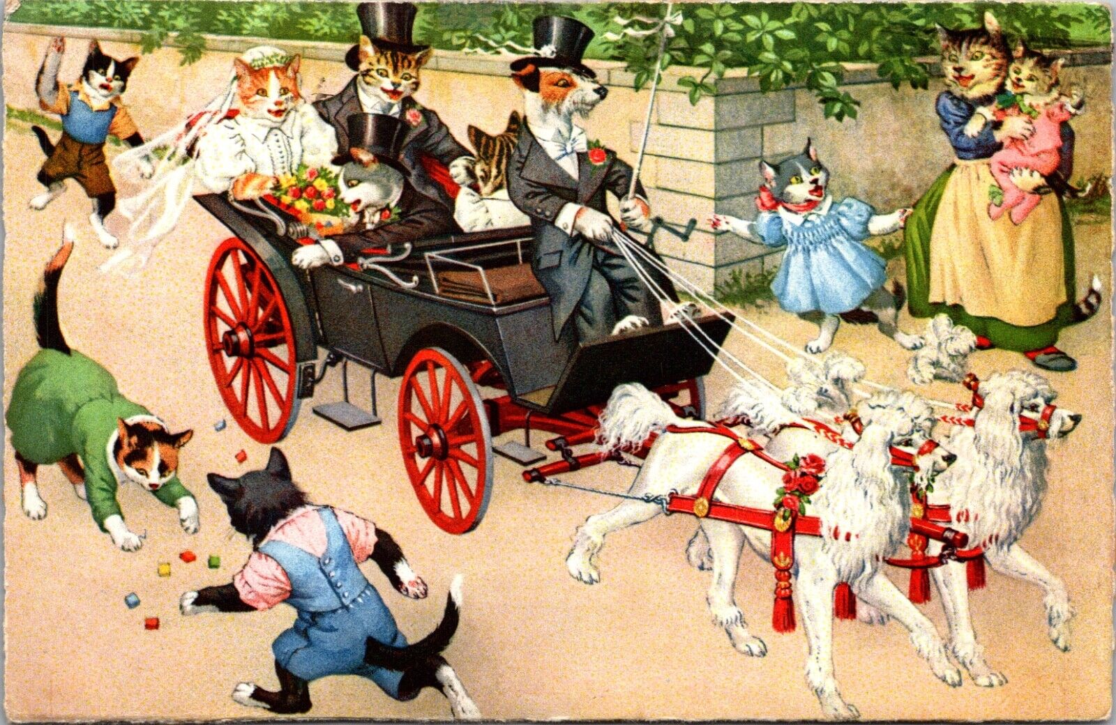 Alfred Mainzer Postcard Dressed Cat Dog Pulled Carriage Wedding Day Just Married