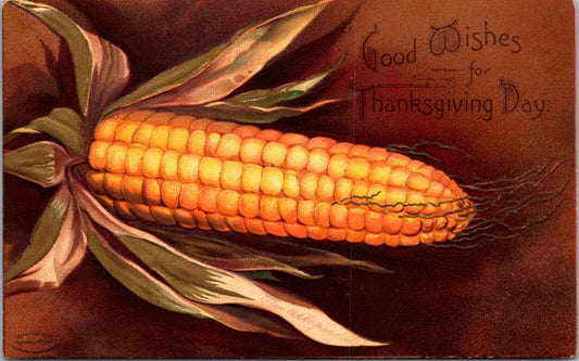 Clapsaddle Good Wishes For Thanksgiving Day Postcard Corn on the Cob