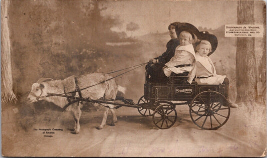 RPPC Goat Pulled Studebaker Jr Wagon South Bend, Indiana Photo Studio~135880