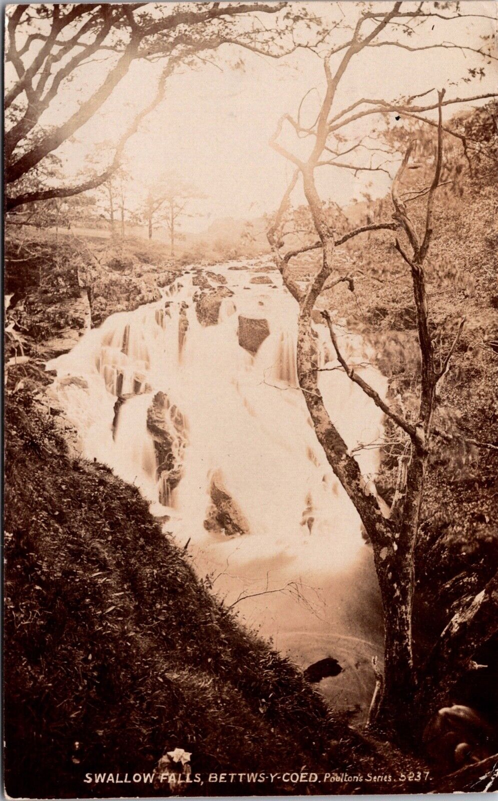 RP Postcard Snowdonia National Park Swallow Falls Betws-Y-Coed United Kingdom