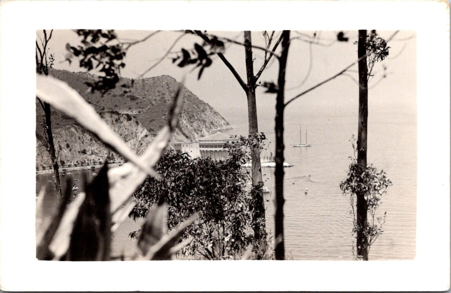 RPPC Peak-a-Boo View of Casino and Boats Avalon Santa Catalina Island California