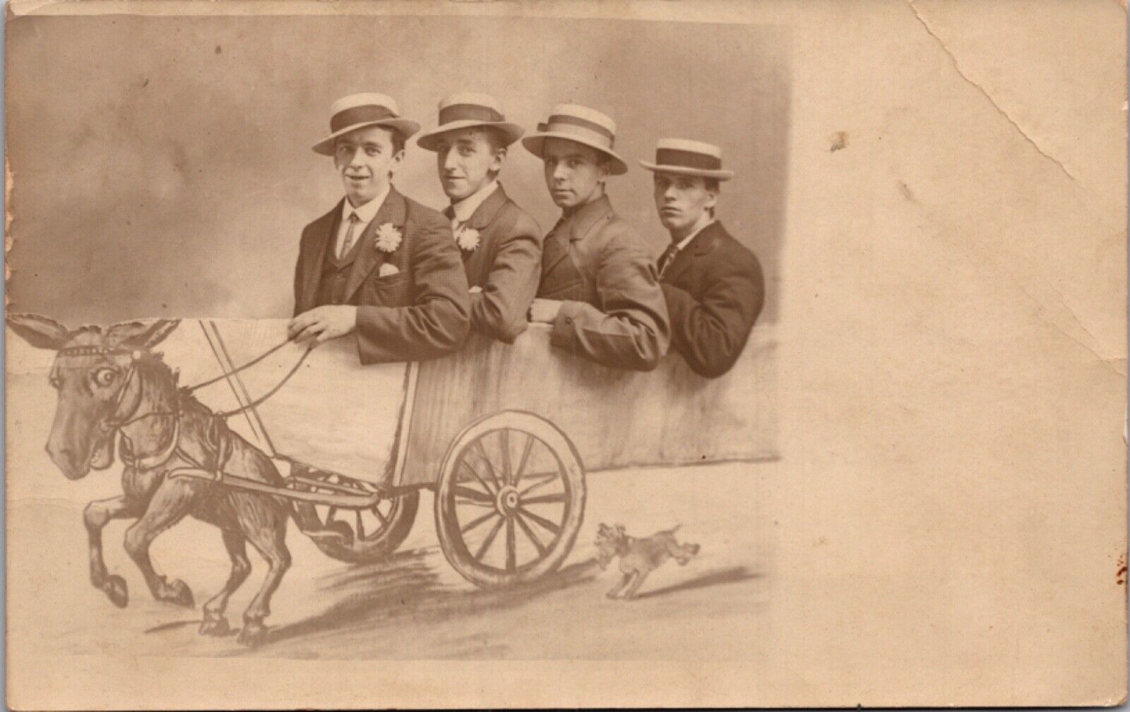 Real Photo Studio Postcard Four Well Dressed Men Donkey Pulled Wagon Providence