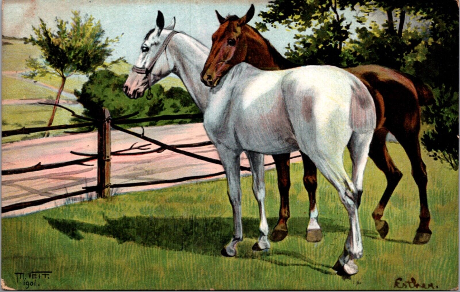 Veit Artwork Postcard of Two Horses White and Brown