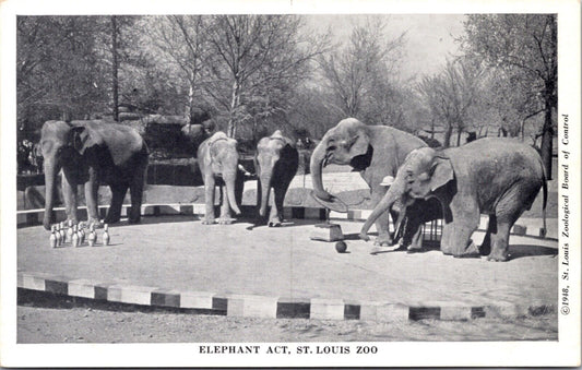 1948 Postcard Elephant Act Bowling at the St. Louis Zoo Missouri