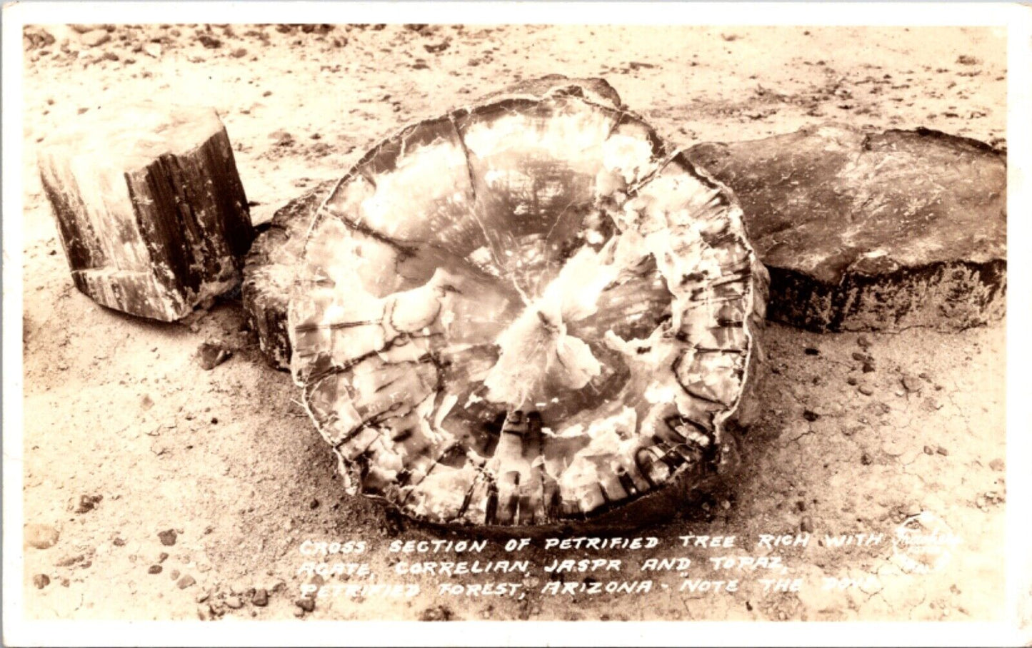 RPPC Cross Section Tree Agate Cornelian Jaspr Topaz Petrified Forest Arizona