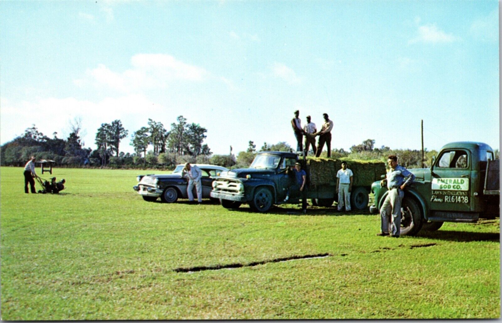 Advertising Postcard Emerald Sod Co Lawn Grass Installation in Florida