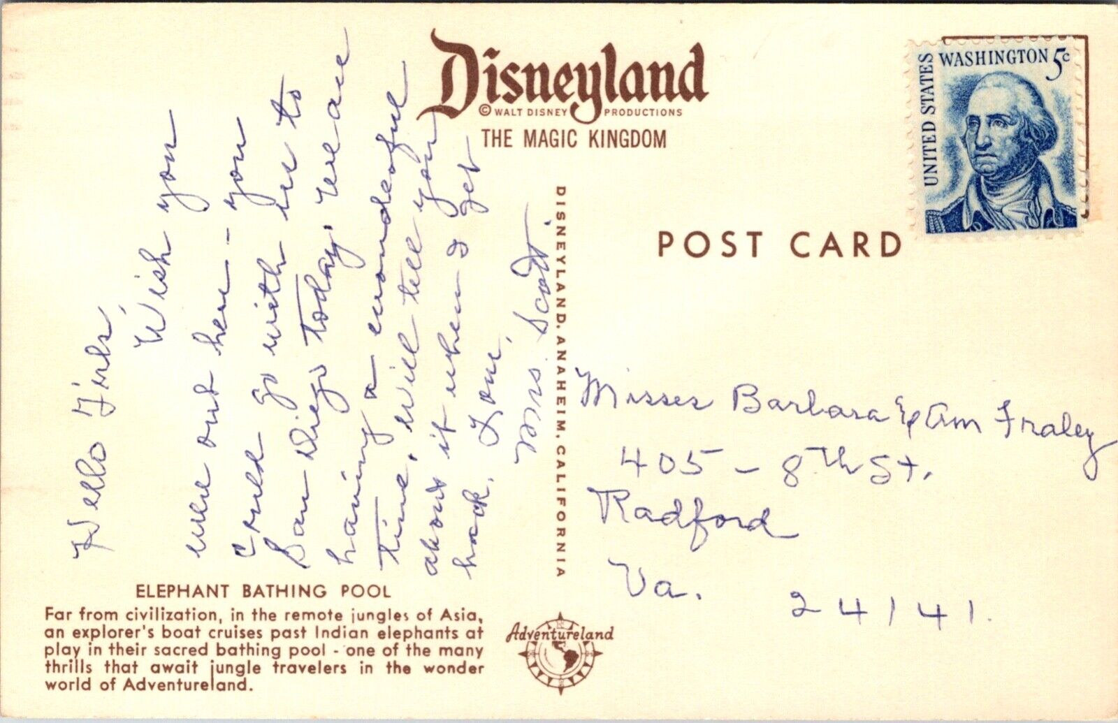 Disneyland Postcard Elephant Bathing Pool Adventureland Jungle Cruise