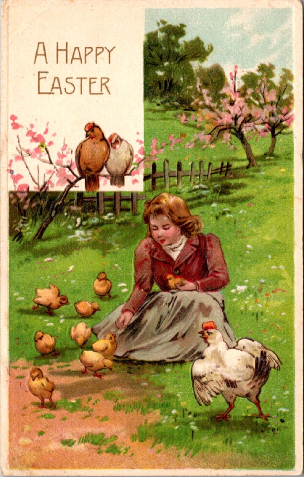 Easter Postcard Woman Picking Up Baby Chicks Chicken Garden Cherry Blossoms