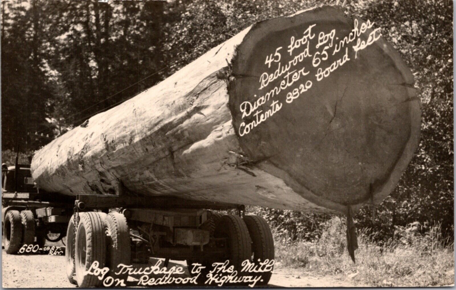 RPPC Redwood Highway 101 California 45 foot Fir Tree Log Truckage to the Mill