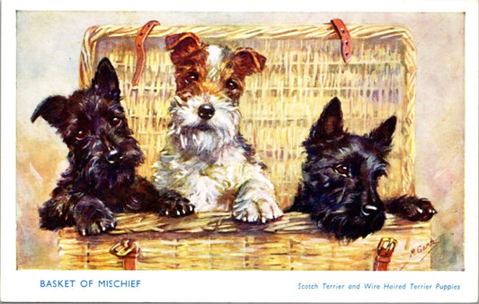 Artist PC Basket of Mischief Scotch Terrier and Wire Haired Terrier Puppies