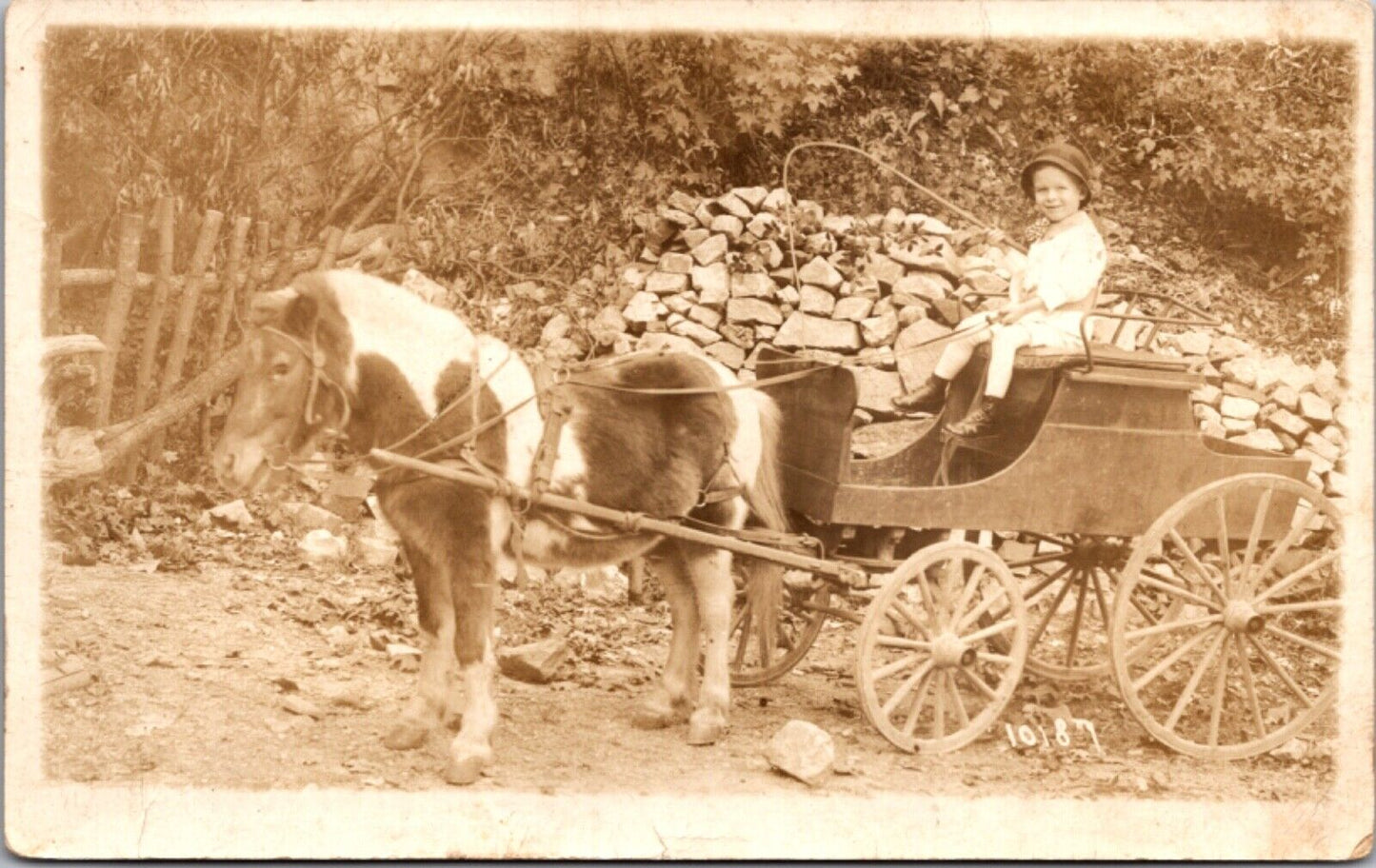 Child Pony Donkey Pulled Cart Arlington Studio Happy Hollow Hot Springs Arkansas