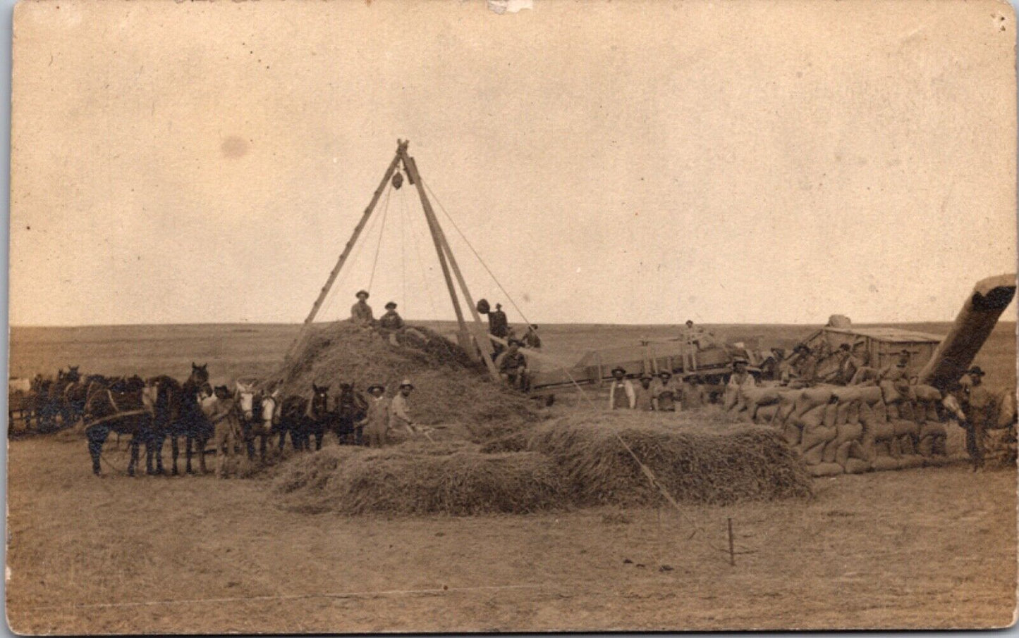 RPPC Men Working Hay Wheat on Farm Horse Pulled Farming Equipment Machinery