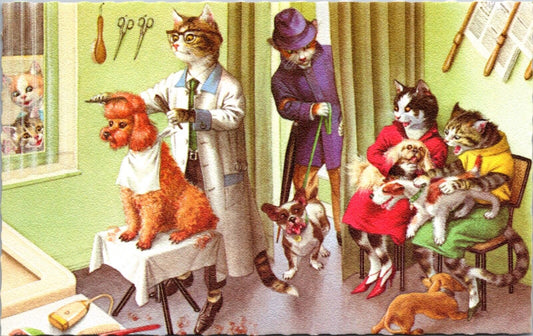 Alfred Mainzer Artwork PC Dressed Cats Bringing Their Dogs For Grooming Hair Cut