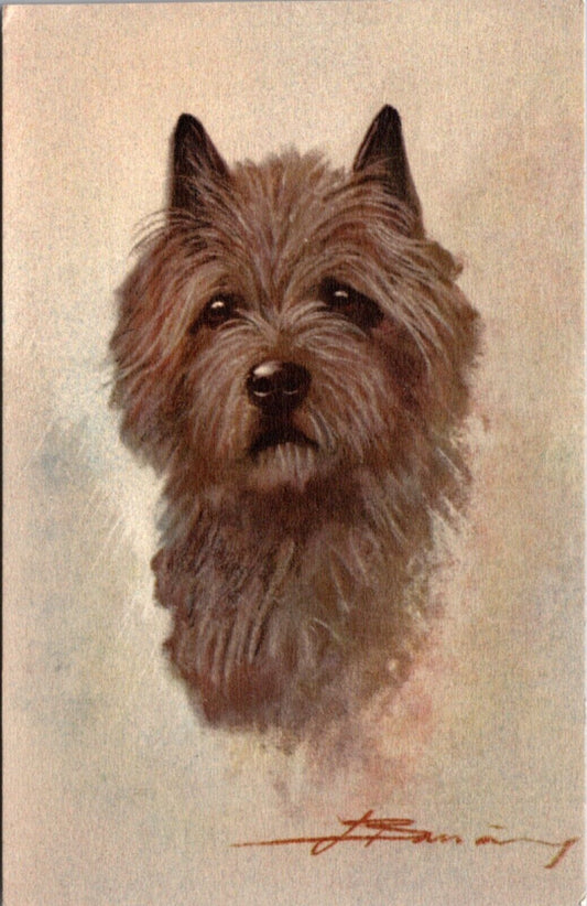 Artist Drawn Postcard Portrait of a Dog