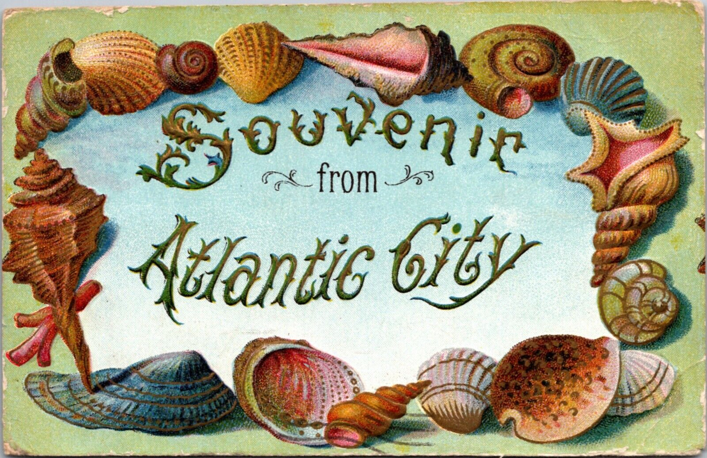 Shell Border Postcard Souvenir From Atlantic City, New Jersey