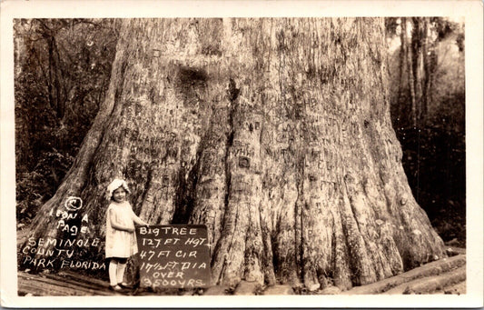 RPPC Little Girl with a Big Tree at Seminole County Park in Longwood, Florida