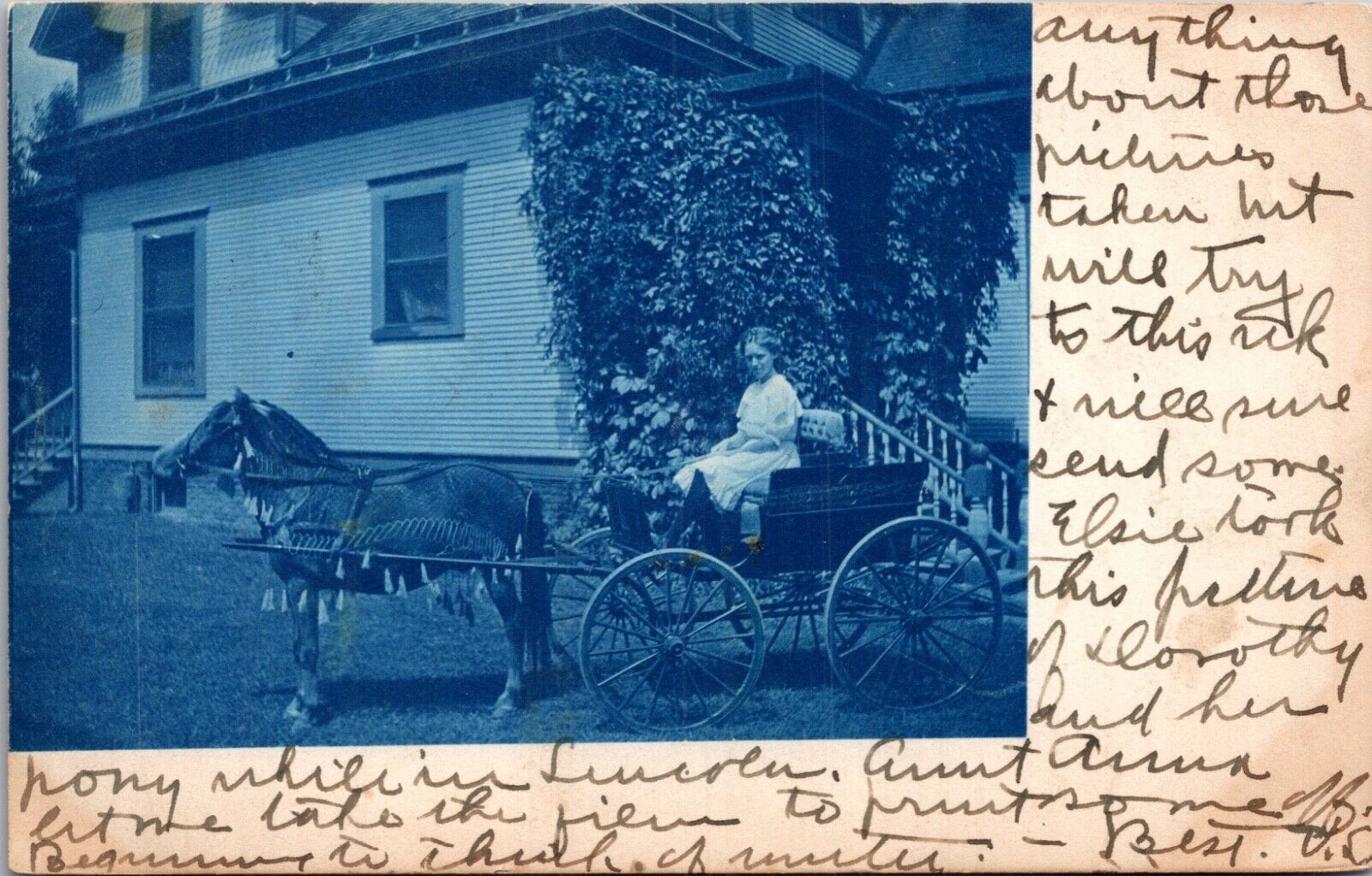 Cyanotype Real Photo Postcard Young Girl Single Horse Pulled Cart Nebraska