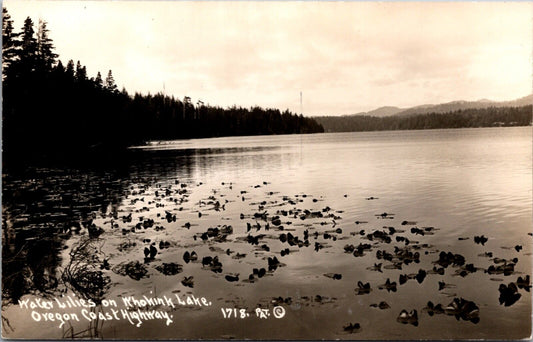 Real Photo Postcard Water Lilies on Woahink Lake along the Oregon Coast Highway