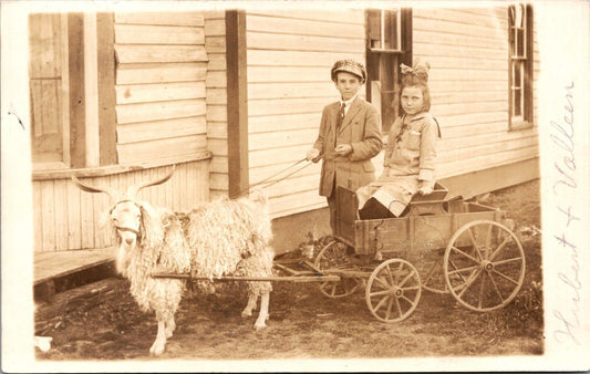 1915 Real Photo Postcard Children with a Goat Sheep Pulled Wagon Cart