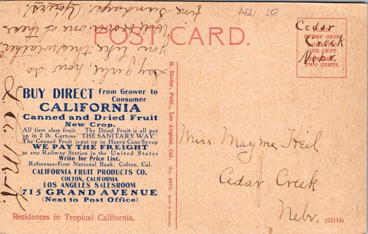 Advertising Postcard Residences in Tropical California Fruit Products Co Colton