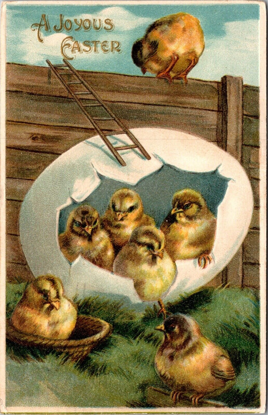 Easter Postcard Chicks Breaking Out of Eggshell with a Ladder to a Fence~3971