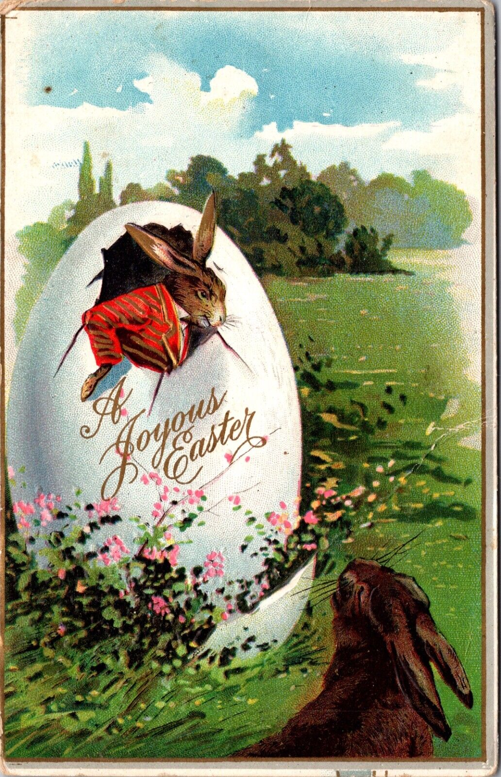 Easter Postcard Dressed Bunny Rabbit Breaking Out of Egg Shell in Garden Grass