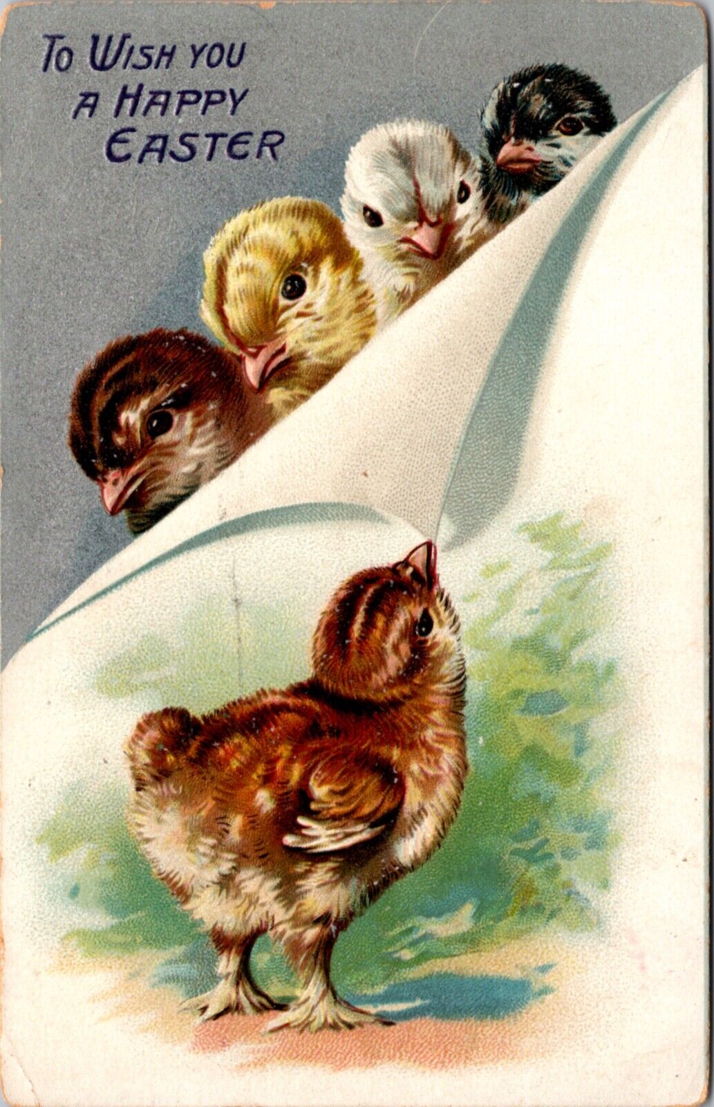 Easter Postcard Chick Pulling Paper Back to Reveal More Chicks