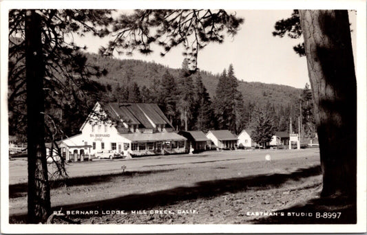 Eastman Real Photo Postcard St. Bernard Lodge in Mill Creek, California