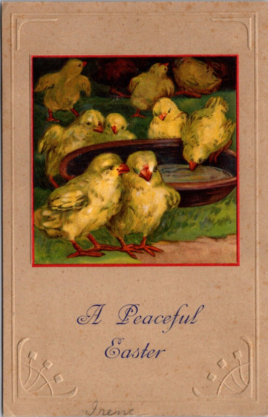 Easter Postcard Group of Chicks Eating or Drinking from a Dish