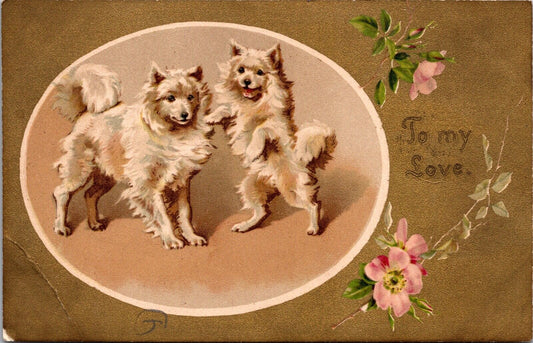 To My Love Postcard Two White Dogs and Flowers